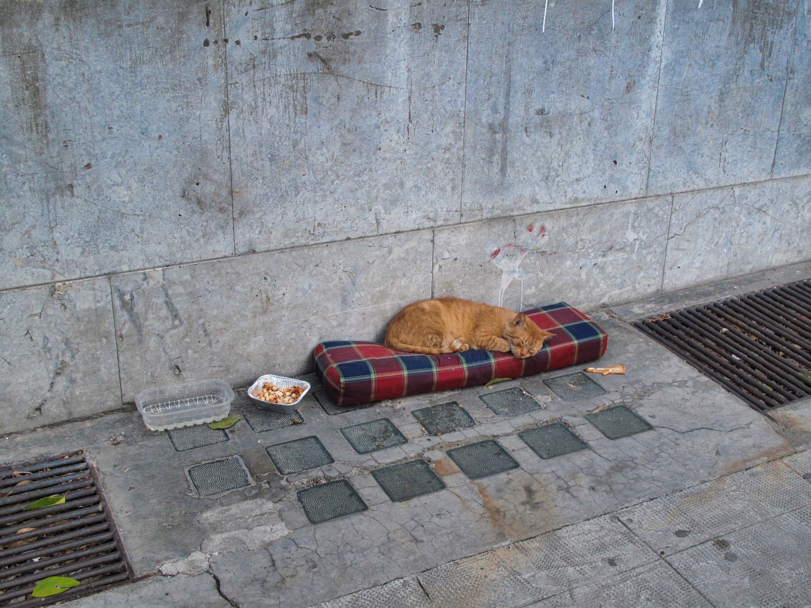 Palermo